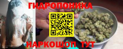 mdpv Будённовск